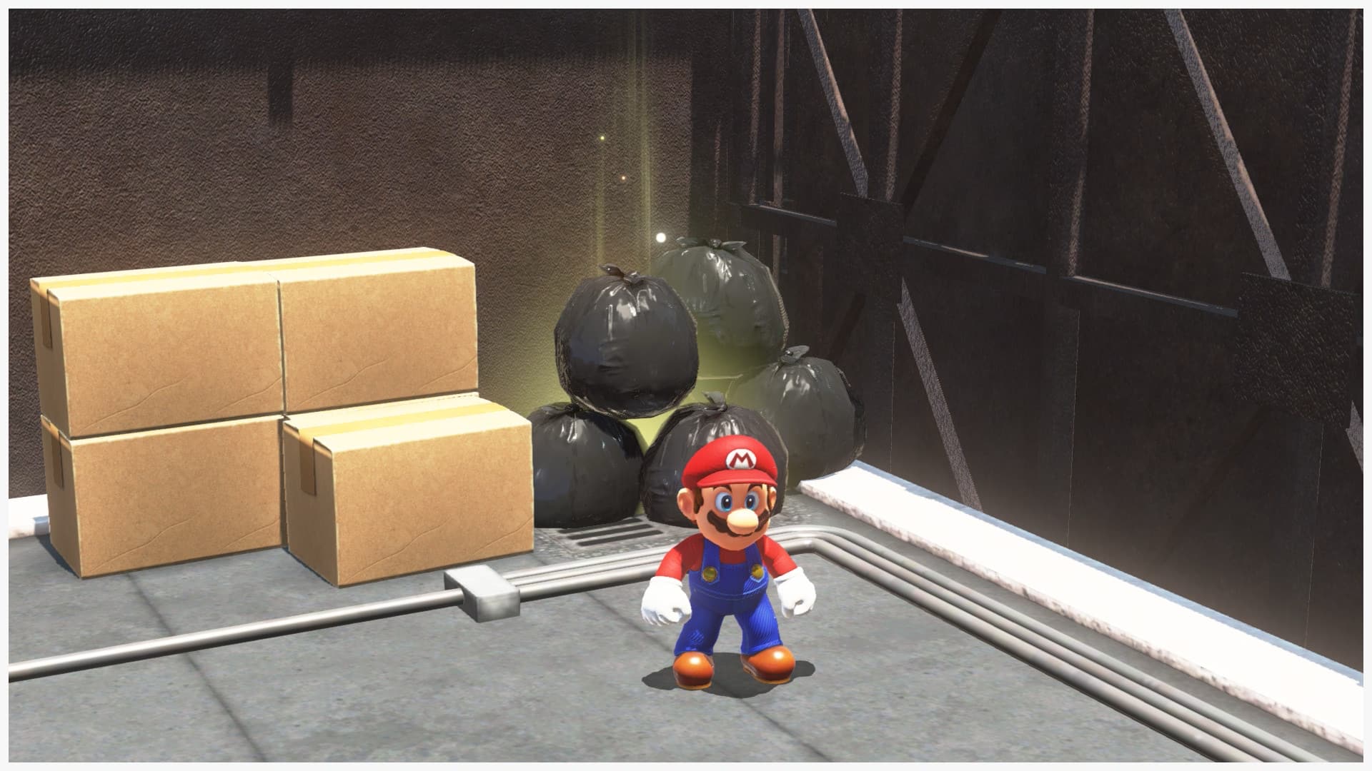 A screenshot from Super Mario Odyssey showing a glowing pile of trash.